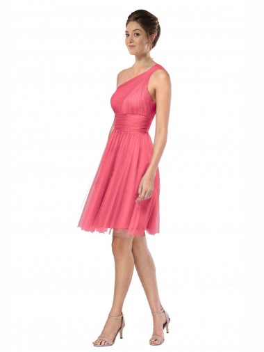 Tulle One Shoulder Sleeveless Long Bridesmaid Dress Kent